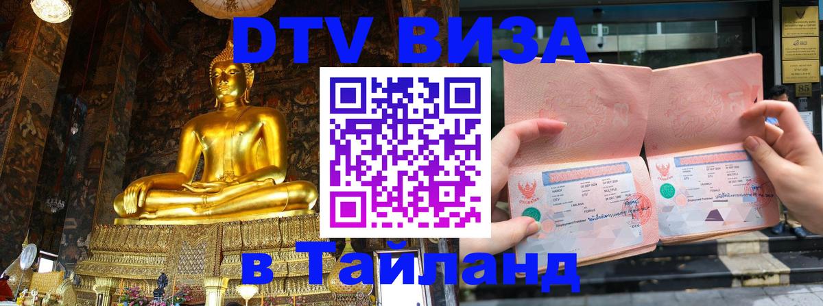 Оформление DTV визы под ключ: стоимость и тарифы, только загранпаспорт - Петрозаводск  03.10.2025 